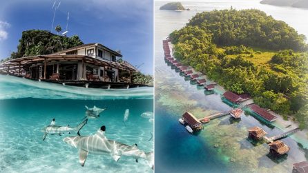 Hotel Terbaik di Raja Ampat